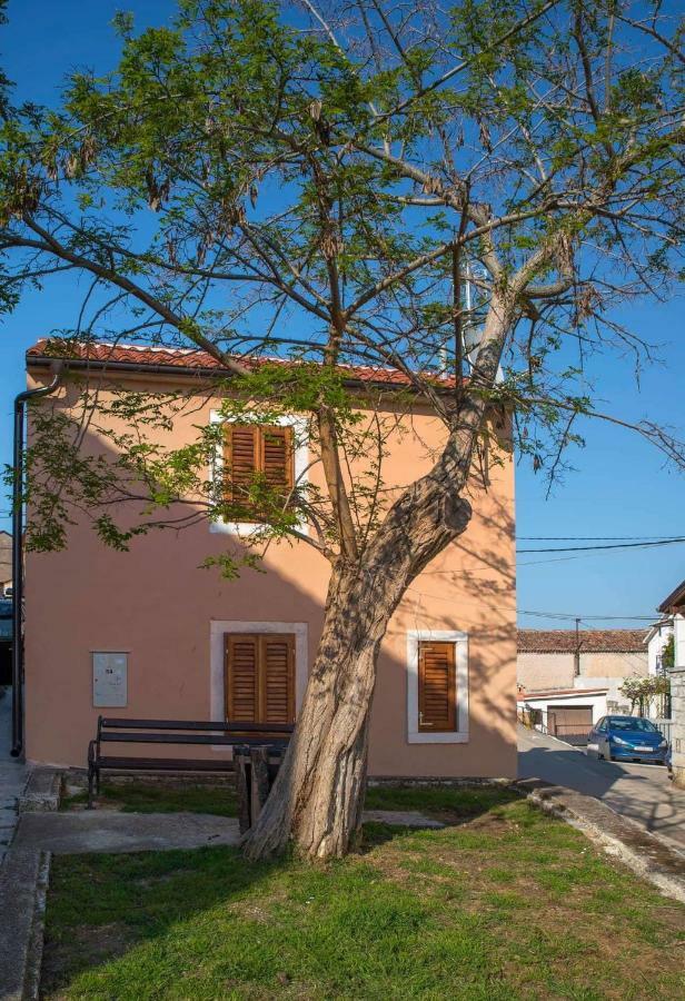 Apartman Juraj I Matej 弗尔萨尔 外观 照片